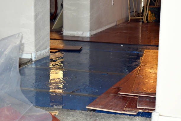 Professional Water Damage Restoration technician working in Halls, TN